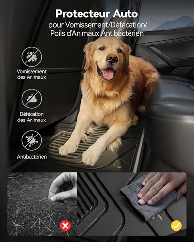 3W Kit of 4 Trunk Mats for Tesla Model Y Juniper 2025 2026 (Premium/Performance), Front Mats, All Seasons Premium Thorex Dog Boot Protector for Tesla, Not for New Standard 2026