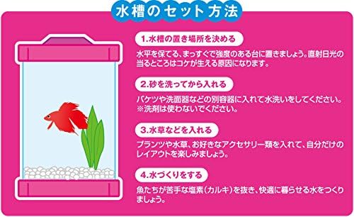 Gex Betta Tower Tank 1 2l Pink Amazon Sg Pet Supplies