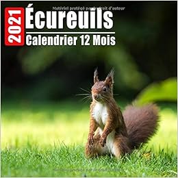 Amazon Fr Calendrier 2021 Ecureuils Mini Photos Calendrier Ecureuils Et Organisateur Mensuel Avec Citations Inspirantes Chaque Mois Prints Co Jolliz Livres