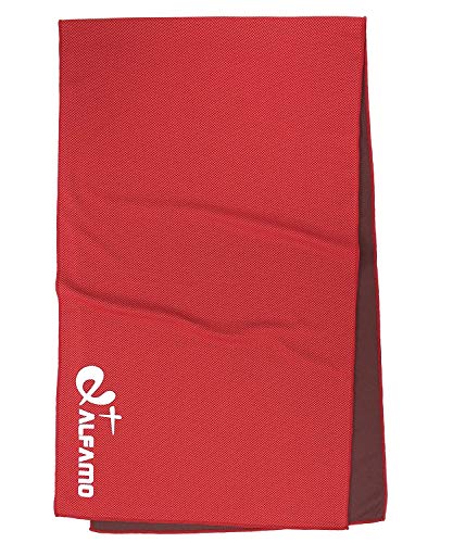 Cooling Towel (Red, S) Cooling Towels for Hot Flash Menopause Relief Sports Cooling Towel Chill Towel Cool Towel for Neck Cold Towel for Athletes Kids Baby Dogs Men Women Yoga Workout Camping Gym