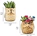 Weierken Mini 6PCS Owl Pot Ceramic Flowing Glaze Base Serial Set Succulent Plant Pot Cactus Plant Pot Valentine's Day Container Planter Bonsai Pots with A Hole, Christmas