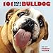 101 Uses For a Bulldog by 