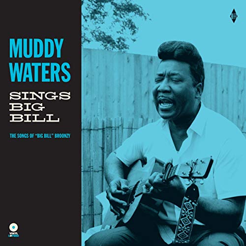 Album Art for Sings Big Bill by Muddy Waters