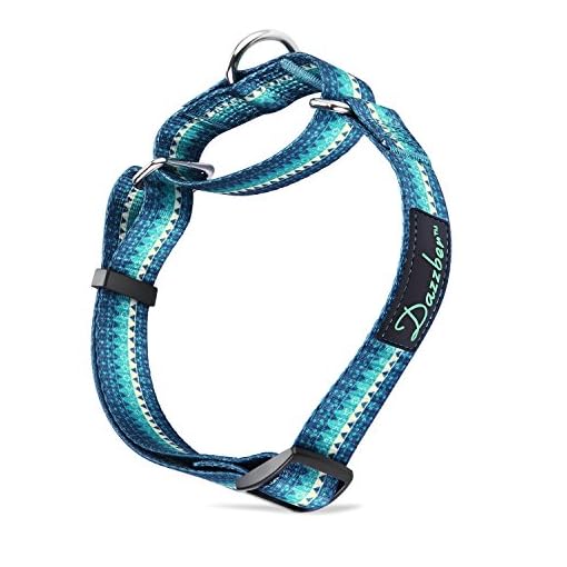dazzber martingale collar