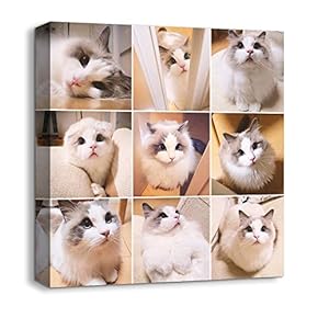 Canvas Wall Art Animals Plants Collage Ideas Home Wall Decorations for Bedroom Living Room Oil Paintings Canvas Prints Framed - 12x12 inches