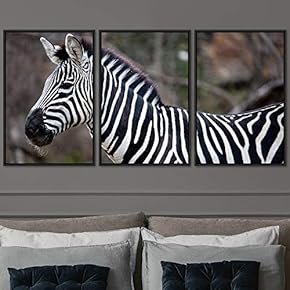 signwin 3 Piece Framed Canvas Wall Art Single...