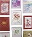 Valentine’s Day Cards - Assortment 50 Pack - Romance - Love - Multicolor - Greeting Cards