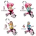 4-in-1 Stroll 'N Trike