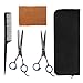 Professional Hair Cutting Scissors Barber Shears Set Hair Thinning Kit with Black Storage Case