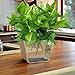 Gtidea 2pcs Artificial Epipremnum Aureus Leaves Silk Grass Fake Plants Bridal Home Garden Office Floor Restaurant Wedding Decoration Green