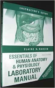Essentials Of Human Anatomy Amp Physiology Laboratory