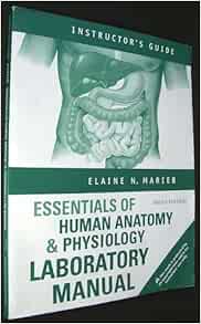 Essentials of Human Anatomy & Physiology (Laboratory Manual, Instructor