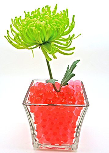 Blinggasm 2 Ounce Pack, Almost 4,000 Water Jelly Beads, For Kids Tactile Sensory Experience, Wedding Centerpiece Vase Filler, Plant decoration, Choose Your Color (Red)
