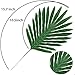 ElaDeco 36 Pcs Artificial Tropical Palm Leaves with Stems Luau Party Decoration Faux Palm Leaves Safari Leaves for Hawaiian Luau Party Jungle Beach Birthday Theme Decorations