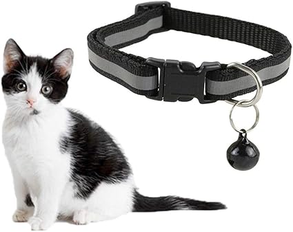 light up cat collar uk