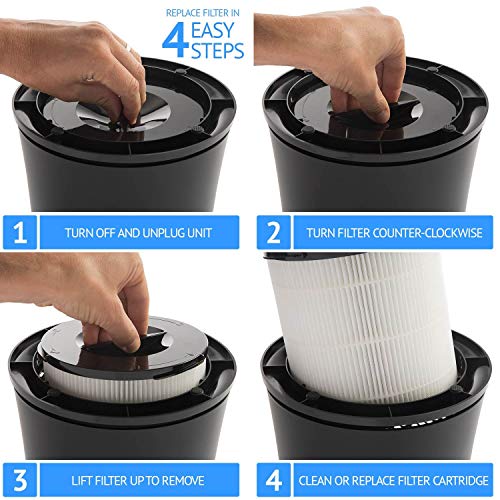 SilverOnyx True HEPA Filter Replacement (5-Speed, Large Room) 4-in-1 Air Purifier HEPA Replacement Filters - Best HEPA H13 Filter for Allergies, Pets, Smoke and Dust. for Large Room 500 sq ft. Black