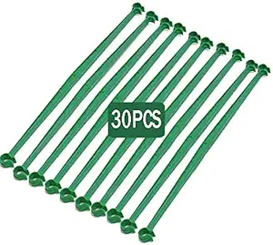 IDOXE 30pcs Stake Arms for Tomato Cage,Tomato Plant Cage,Tomato Garden Cages Plastic Expandable Trellis Connectors Stakes Vegetable Trellis for Vertical Climbing Plants Gardening Supplies