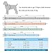 Rachel Pet Products 3 Rows Silver Rivets Studded Genuine Leather Dog Collars for Medium/Large Dogs, Red, M