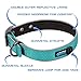 Max and Neo Glacier Reflective Neoprene Metal Buckle Dog Collar - We Donate a Collar to a Dog Rescue for Every Collar Sold (Large, Orange)