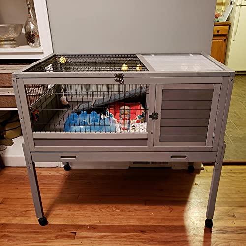 Rabbit Hutch with Detachable Legs and Wire Floor Indoor Rabbit House