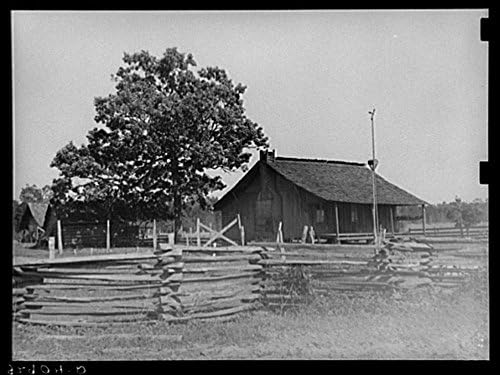Quarters provided for Negro strawberry pickers. Hammond, Louisiana