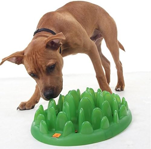 Northmate Green Slow Feeder (PACK OF 2)