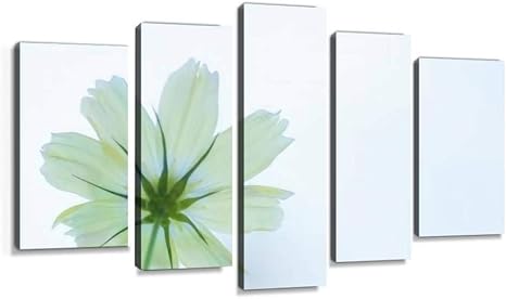 Amazon Co Jp コスモス 黄 白 テクスチャ 背景 白背景 秋 イエローキャンパス メッセージ かわいい 花 スペース 植物 アップ キャンバスアート アートボード 壁掛け装飾 おしゃれ 部屋飾り インテリアパネル 絵画 ポスター 木枠付きの完成品 ホーム キッチン