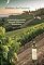 Livro Vinhos do Futuro: A Revolução dos Vinhos Naturais, Orgânicos e Biodinâmicos (Explorando o Universo do Vinho: Tradição, Inovação e Descobertas)