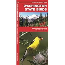 Washington State Birds: A Folding Pocket Guide to Familiar ...