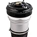 Air Suspension Strut for Mercedes Benz S430 S500 S600 S55AMG 2000-2001(WITHOUT ABC&4Matic) Front Air Shock 2203202438