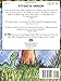 A Friend For Dragon (Dragons Tales)