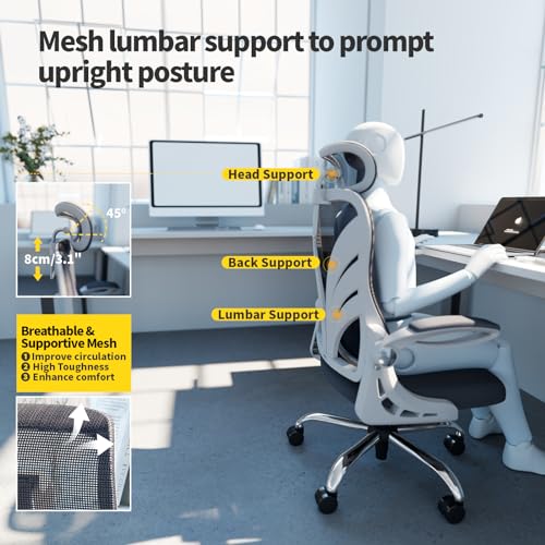 HOLLUDLE Office Chair with Folding Backrest, Ergonomic Computer Chair with 2D Headrest, Folding Armrests and Mesh Lumbar Support Office Seat, White