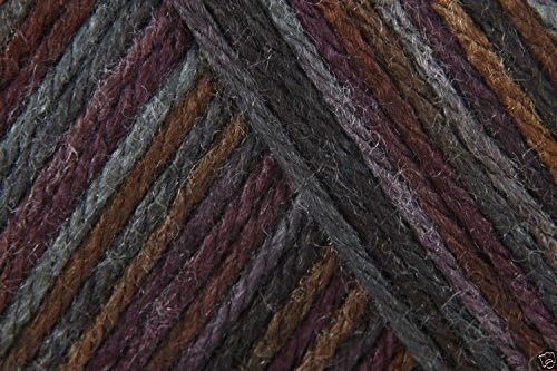 Caron Simply Soft Paints Acrylic Aran Knitting Wool Yarn 113.4g -0009 Sticks