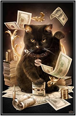 Handcraft Diamond Painting DIY Embroidery Pattern Rhinestone black Cat Multi Size Full Square Diamond Picture (cloth 3040cm)