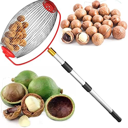 Small Nut Gatherer,Fruit Collector,Gatherer Rolling Nut Harvester Ball Picker Adjustable