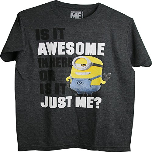 Despicable Me Minion 