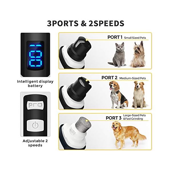 Petural-Pet-Dog-Nail-Grinders-Upgraded-LCD-Electric-Cat-Nail-Clippers-Rechargeable-Pet-Nail-Trimmer-Low-Noise-Painless-Smoothing-Dog-Nail-Clippers-for-Small-Medium-Large-Dogs-Cats Petural Pet Dog Nail Grinders, Upgraded LCD Electric Cat Nail Clippers Rechargeable Pet Nail Trimmer Low Noise Painless…