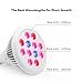 TaoTronics 24w Led Grow light Bulb , Grow Plant Light for Hydropoics Organic Mini Greenhouse (3 Bands)