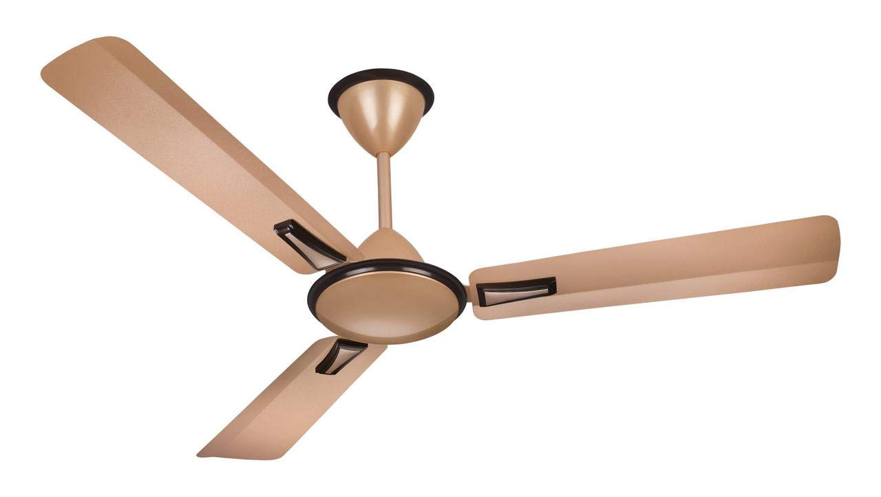 Buy Finolex Widdly High Speed Decorative Wide Blade Ceiling Fan