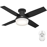 Hunter 44 inch Indoor Ceiling Fan with LED Light and Remote Control - Black Modern Ceiling Fan, Low Profile Mount, 4 Blades, 
