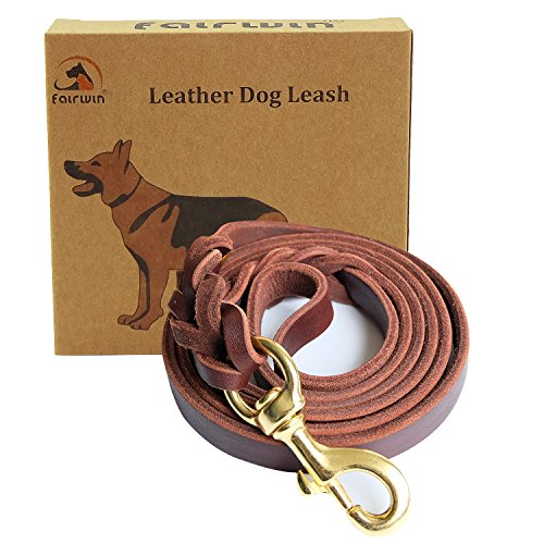 Fairwin Braided Leather Dog Training Leash 6 Foot Best Dog Leather