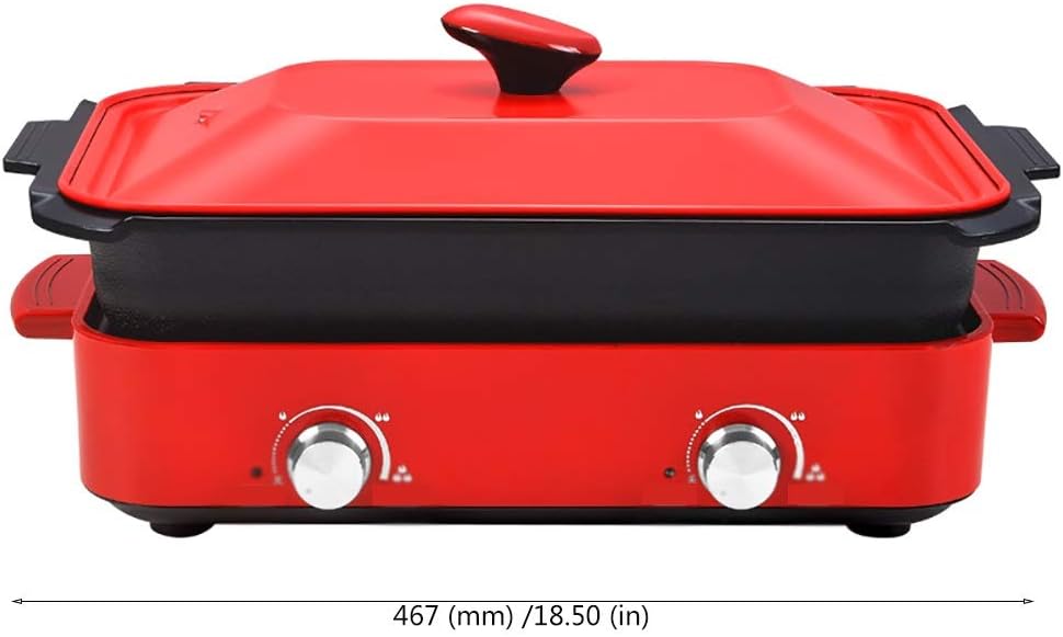 review Nologo DUX-ZW Multi-Function Electric Baking Tray,Dual-Dish Dual-Control,1300W High Power,Larger Heating Area,Strong Practicality,Suitable for Home Kitchen and Outdoor Barbecue,Automatic Adjustment