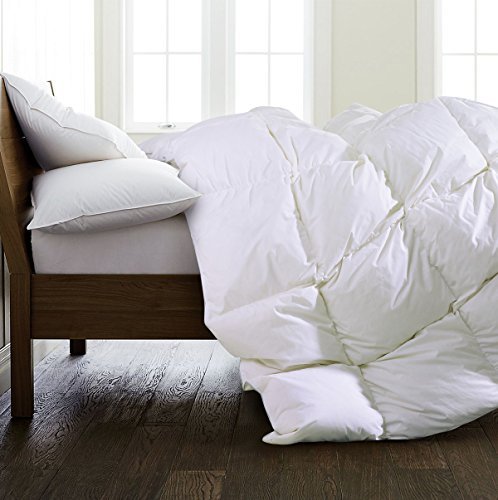 SHEONE All Seasons Lightweight White Goose Down Comforter-650 Fill Power-100% Cotton Shell Down Proof-Solid White Hypo-allergenic Duvet Insert With Tabs (Queen)
