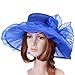 Vbiger Ketucky Derby Hats Church hats Large Wide Brim Gauze Hat For Women