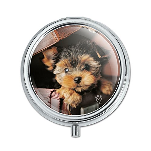 Yorkie Yorkshire Terrier Puppy Dog in Briefcase Trunk Suitcase Pill Case Trinket Gift Box