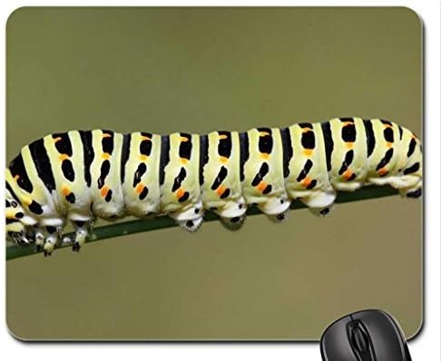 Catapillar Mouse Pad, Mousepad