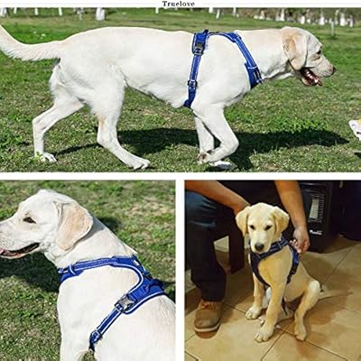 kismaple dog harness