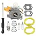 Hipa 308054043 Carburetor + Carb Tool Tune Up Kit for Homelite Ryobi RY09800 RY28021 RY28041 RY28065 UT32601 UT32601A UT32605 UT32651 UT32651A UT32655 26cc Strting Trimmer Brushcutter primary