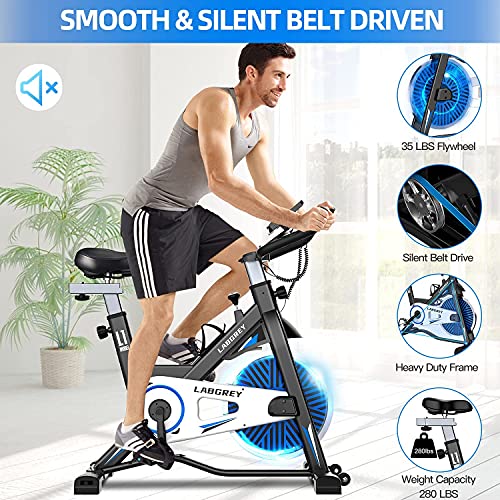 LABGREY Stationary Bike Exercise Bike Indoor Cycling Bike, Cycle Bike with Heart Rate Sensor & Comfortable Seat Cushion, Quiet Fitness Bike for Home Cardio Workout