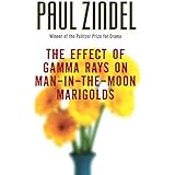 Amazon Com My Darling My Hamburger Zindel Paul Books